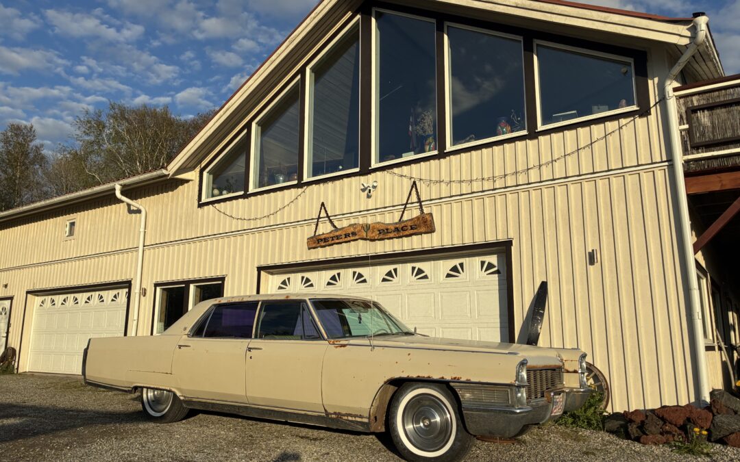 1965 CADILLAC FLEETWOOD 99000KR